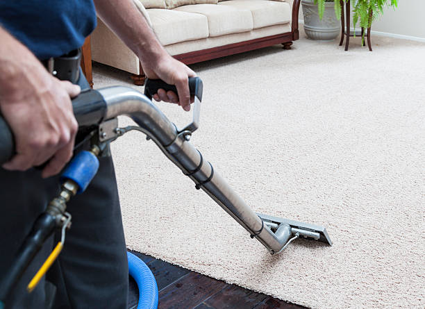 Professional carpet cleaning in action